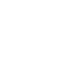 Icon Fahnen