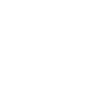 Icon Fahrzeugbeschriftung
