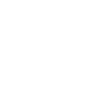 Icon Folien