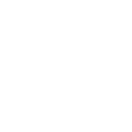 Icon Messesysteme