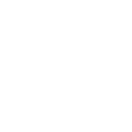 Icon Plattendirektdruck